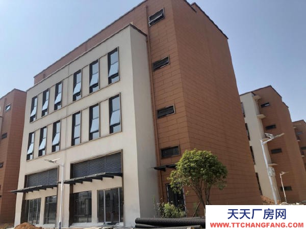 岳陽市云溪區 自貿區 岳陽城陵磯新港區 標準化廠房獨棟辦公樓出租出售