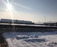 (出售) 出租出售寧江江南2000平自家農(nóng)村房院 非誠勿擾