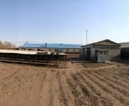 (出售) 出租出售寧江江南2000平自家農(nóng)村房院 非誠勿擾