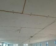 (出租) 寧江條件好，有意者請電話咨詢