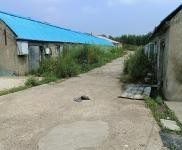 (出租)前郭 廠房4000平，院子3000平