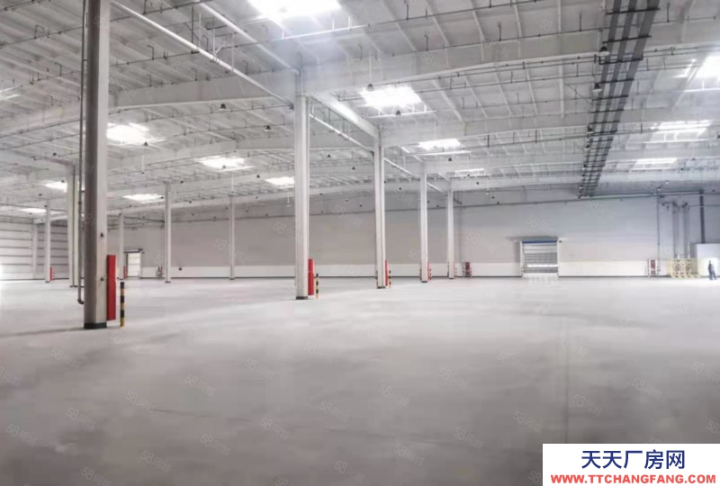 (出租) 南潯區48000平大型丙二類倉庫