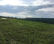 (出租) 松原市乾安縣贊字鄉三競村