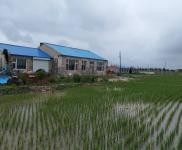 (出售)乾安 廠房圈舍出售院落有意者電話聊