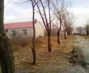 (出售)乾安 廠房64間 土地7萬平 可以用于養殖、加工等