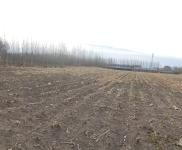 (出租)乾安 院子2萬平，建筑面積500平，可養殖可做糧庫。價格面議