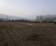 (出租)乾安 院子2萬平，建筑面積500平，可養(yǎng)殖可做糧庫。價格面議