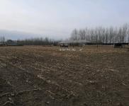 (出租)乾安 院子2萬平，建筑面積500平，可養殖可做糧庫。價格面議