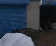 (出租) 白城工農(nóng)村二隊大院，，適合做倉庫