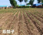 (出售) 打米廠客源穩定。三間平房拎設施齊全拎包入住。5晌地使用經營權