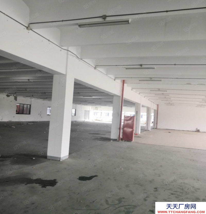 (出售) 出售長興南高速口25畝20000方標(biāo)準廠房