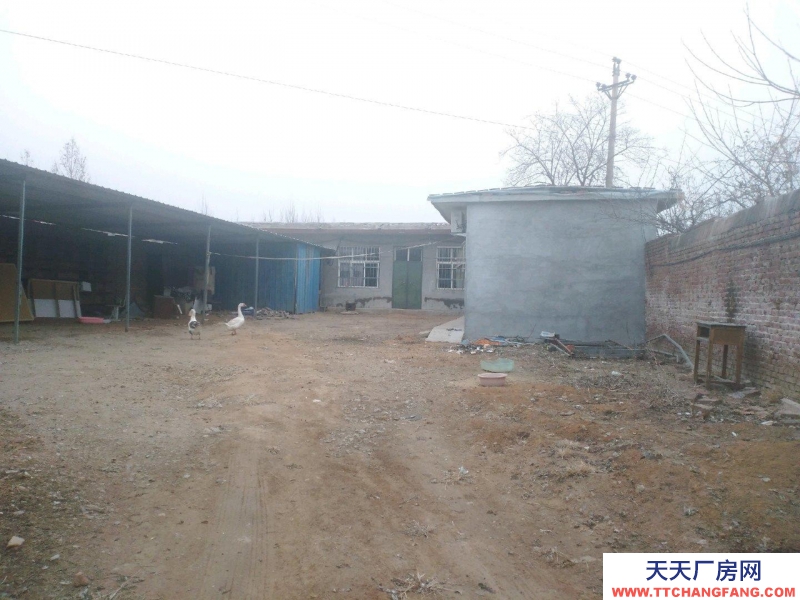 邢臺市 邢臺縣 (出租) 獨院600平房可主人做倉庫