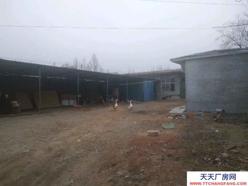 邢臺市 邢臺縣 (出租) 600平院子平房可做倉庫人