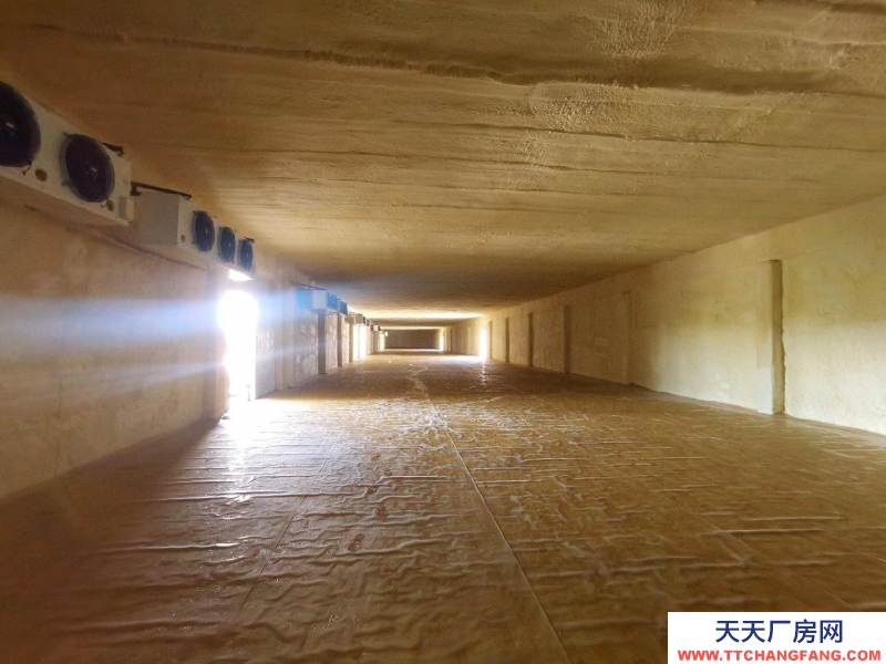 邢臺市 邢臺縣 (出租) 位于新興路與濱江路交叉口西行一公里路北，可整租，可分租