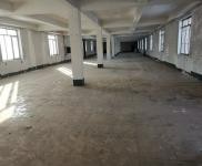 (出租) 延吉可做加工廠，汽車維修，辦公室，倉庫