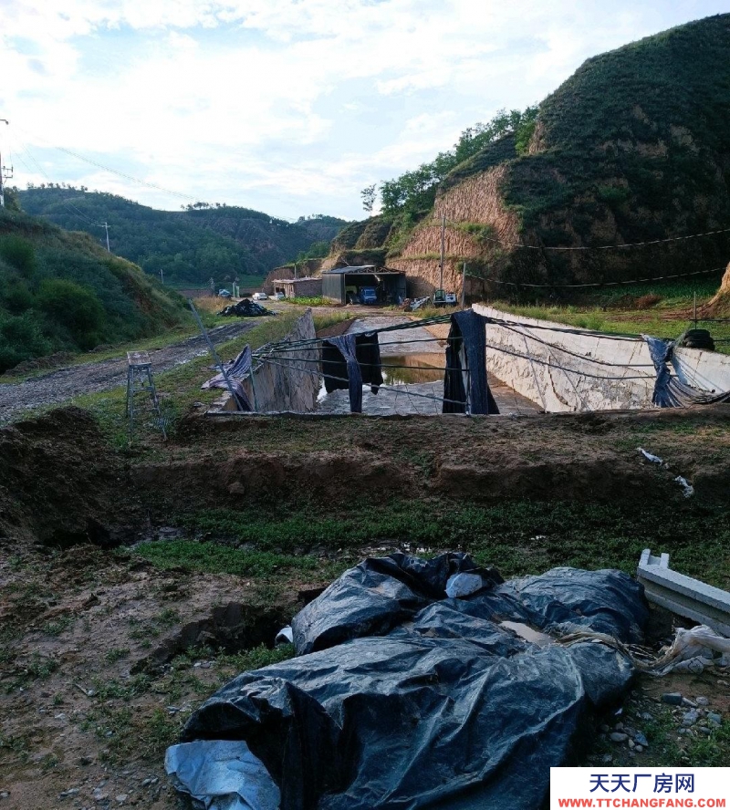(出租) 占地兩百畝，養殖場，可直接養牛羊，可放養