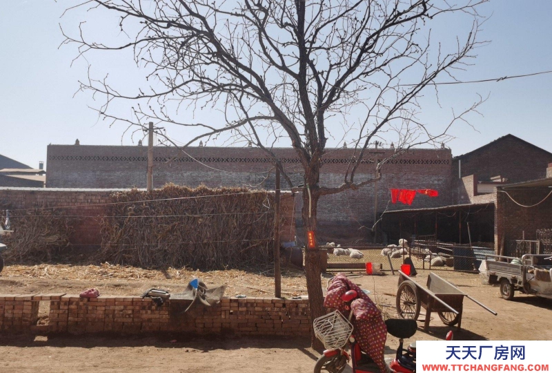 (出租) 旺廠出租，可以進出大車輛