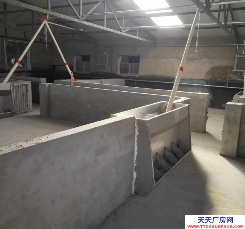 (出租) 豬舍出租，有意向的朋友可聯(lián)系