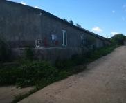 (出售) 急售農村房屋和養(yǎng)豬場，位于朝陽川三峰5隊，共1000平米多