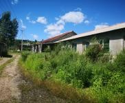 (出售) 急售農(nóng)村房屋和養(yǎng)豬場，位于朝陽川三峰5隊，共1000平米多