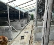 (出租) 延邊科技大學(xué)附近房屋出租。可做養(yǎng)狗圈