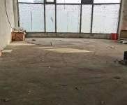 (出租) 可短租獨(dú)棟一樓倉(cāng)庫(kù)帶冷庫(kù)帶門(mén)斗