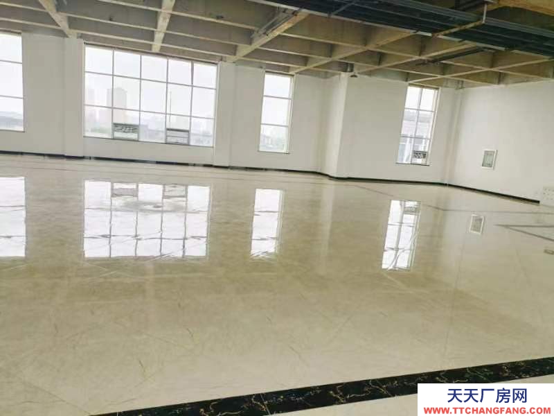 (出租) 大面積房屋低價出租,歡迎有意者看房詢價