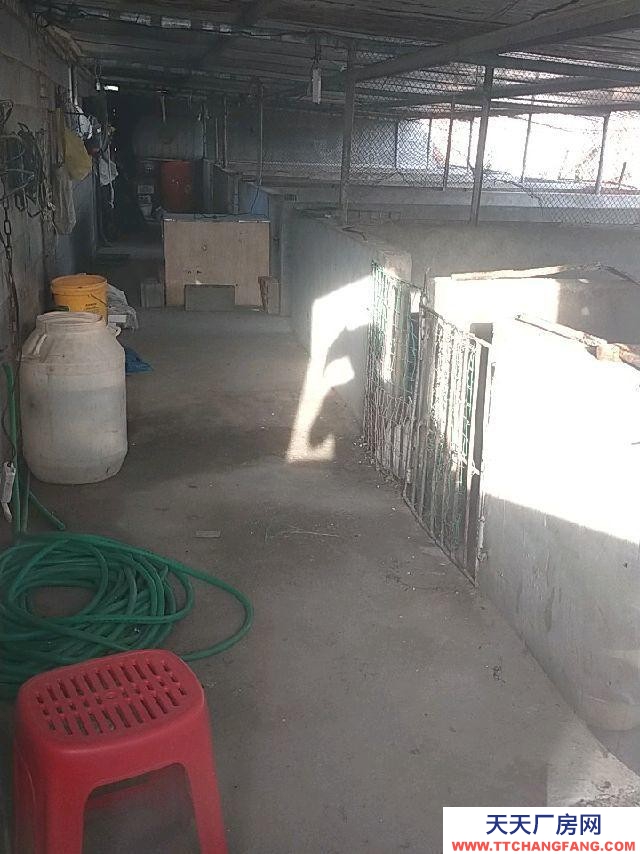 (出租) 5畝大院子水三項(xiàng)電，豬圈辦公室菜園空地三畝，二百平米庫房