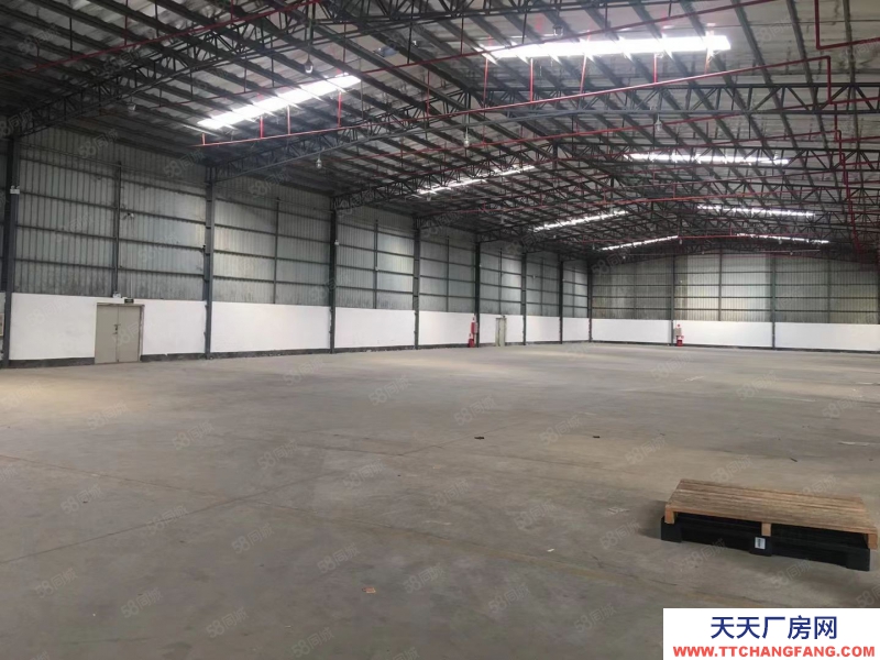 (出租) 惠城區(qū)下角附近新建單層鋼構(gòu)9米高廠房4800平方出租