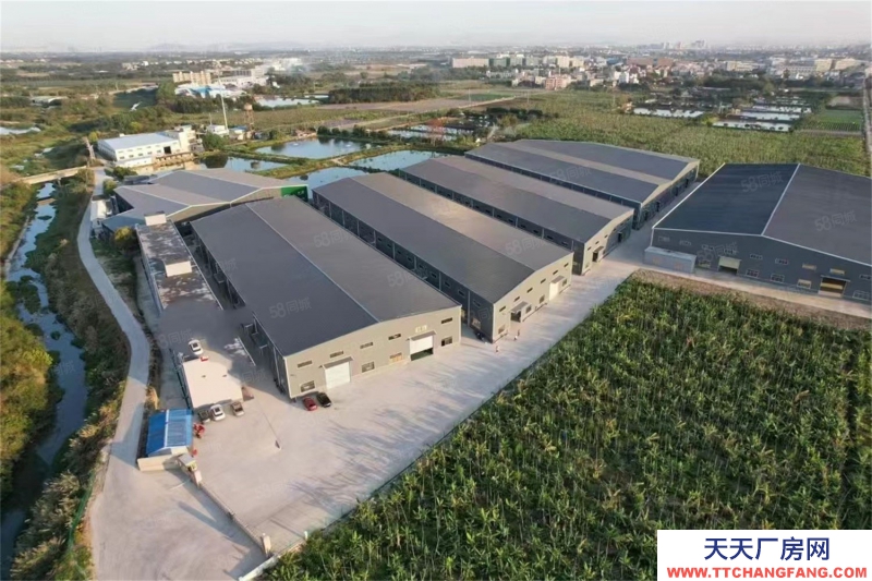 (出租) 惠州水口十米鋼構廠房低價出租重工業可進遠離居民區1000平起分租