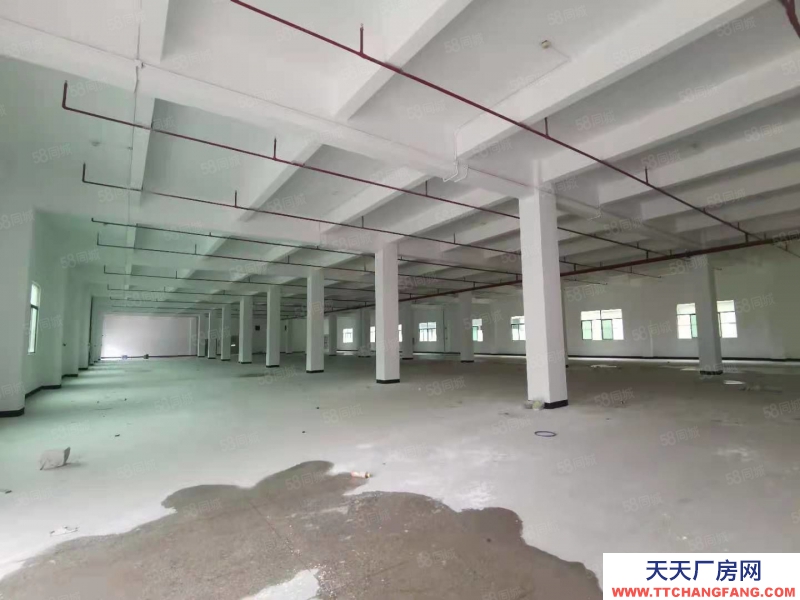 (出租) 馬安鎮(zhèn)新樂工業(yè)區(qū)標(biāo)準(zhǔn)廠房3層分租共5250平出租空地大可分