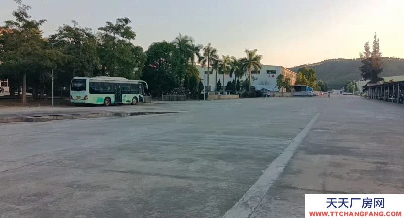 (出租) 惠州大道平潭附近全新滴水9米紅本重工業鋼構廠房低價出租