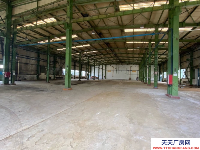 (出租) 馬安鎮工業區滴水10米鋼構廠房面積2900平（可分租）證件齊