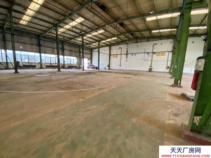 (出租) 馬安鎮工業區滴水10米鋼構廠房面積2900平(可分租)證件齊