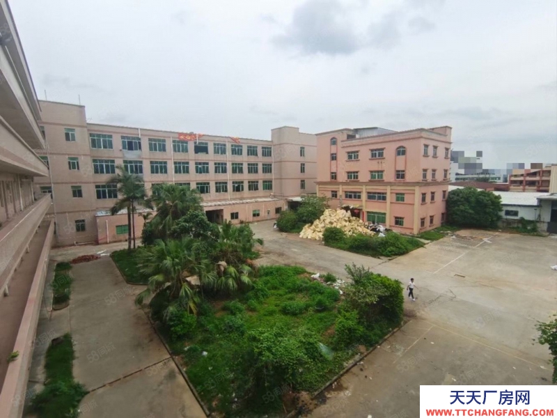 (出租) 水口獨院10000方廠房辦公宿舍招租 位置好 易招工