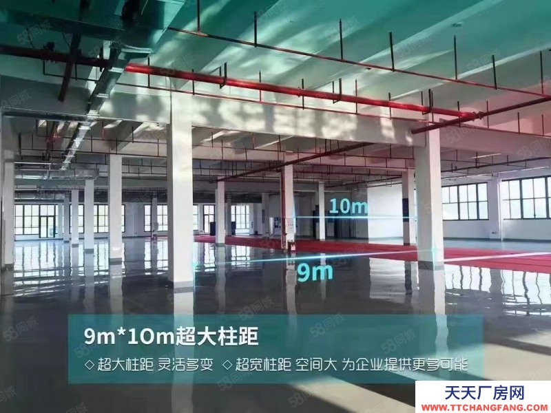 (出租) 惠陽淡水智能制造產業園招租100萬平米高端行業低門檻進入