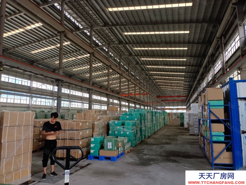 (出租) 鎮隆單一層18米高廠房13000平方出租,一千平起分