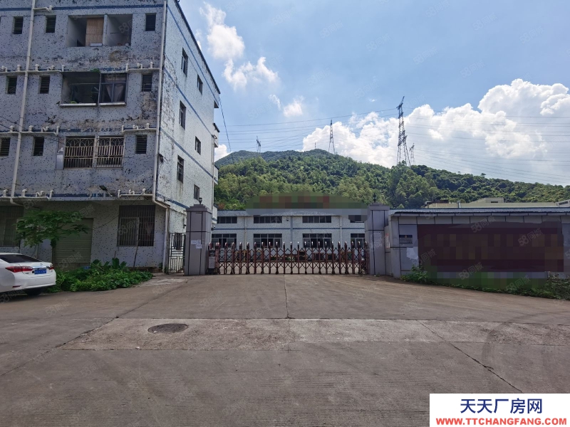 (出租) 惠陽三和原房東獨(dú)門獨(dú)院鋼結(jié)構(gòu)滴水八米高11000平方低價(jià)出租