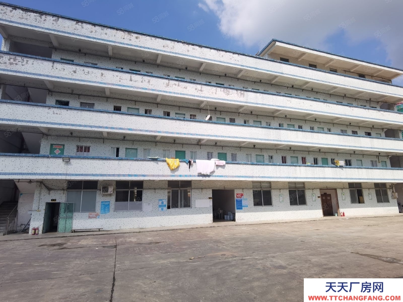 (出租) 惠陽三和原房東獨門獨院鋼結構滴水八米高11000平方低價出租