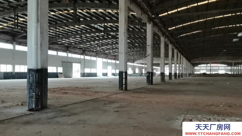 (出租) 大面積鋼構出租!惠陽淡水星華工業園2萬平原房東倉庫廠房可分租