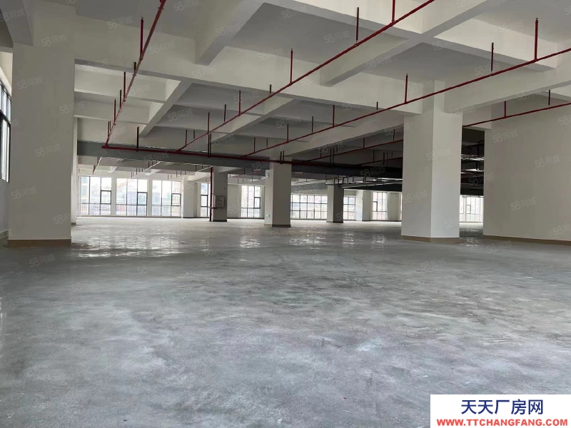 (出租) 20000m標準廠房招租(惠陽沙田)