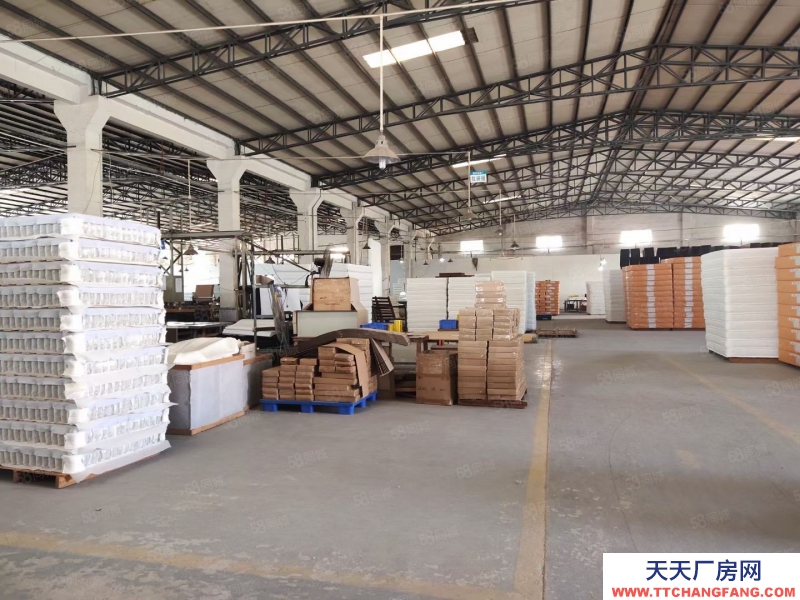 (出租) 惠州市惠陽區秋長鎮原房東獨門獨院鋼構廠房4800平方空地2千