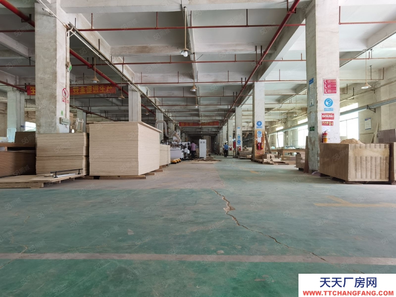 (出租) 惠陽秋長國道旁原房東紅本獨門獨院標準廠房1萬平方廠房低價出租