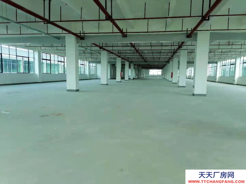 (出租) 惠陽原房東一樓1500平米低價招租