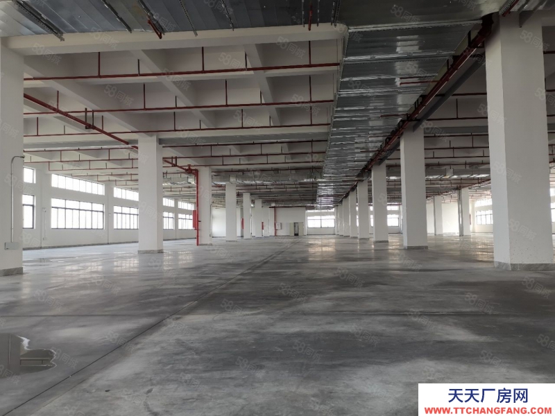 (出租) 石灣高新園區低價倉庫廠房出租30000平,大小可分租可辦環評