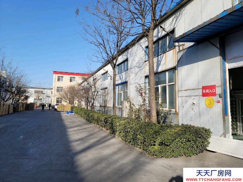 邢臺 任縣 (出租) 廠房,隨時看房,隨時聯(lián)系我