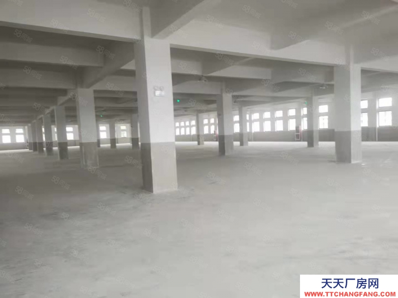 (出租) 安吉上墅鄉2層1000方標準廠房出租