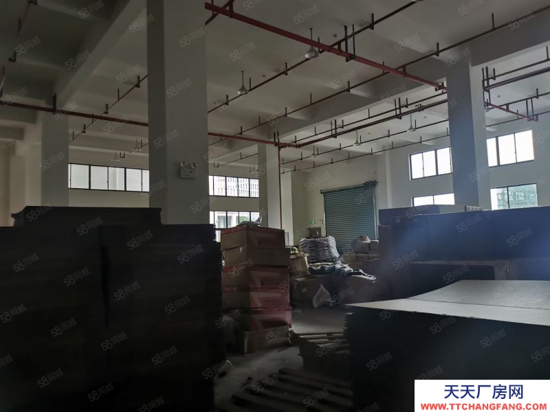 (出租) 有單獨的貨梯.廠房干凈！大車進出方便