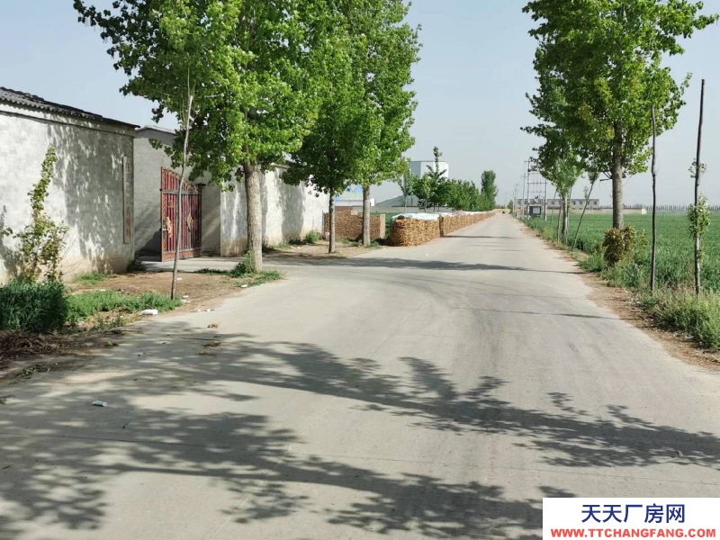 邢臺 任縣  (出租) 大豆村村北，總面積6畝，車間，庫房，鋼結(jié)構(gòu)棚共1100平方