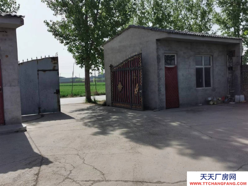 邢臺 任縣  (出租) 大豆村村北，總面積6畝，車間，庫房，鋼結(jié)構(gòu)棚共1100平方